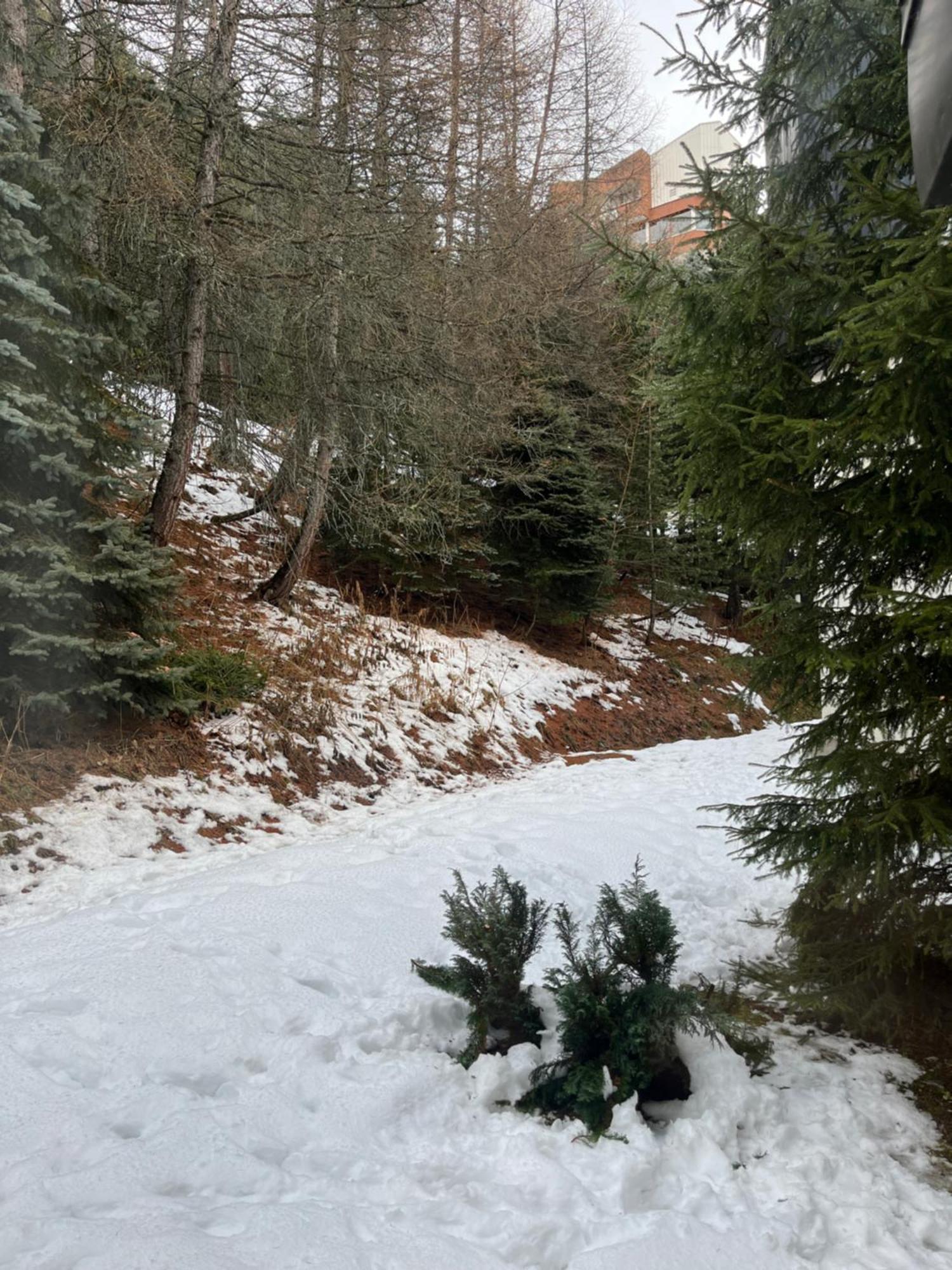 Appartement Les Menuires - 4 Personnes A 20 M Des Pistes Saint-Martin-de-Belleville Eksteriør billede